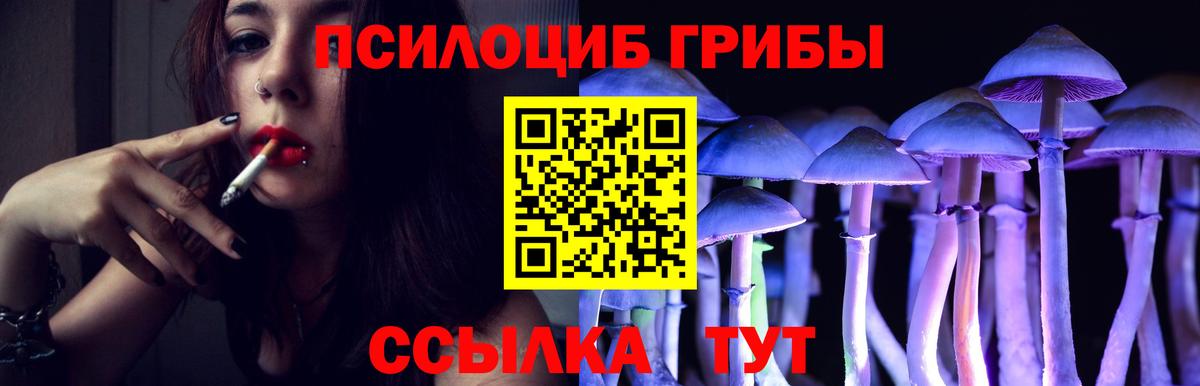 Галлюциногенные грибы мицелий  Псилоцибиновые грибы Magic Shrooms  Вход с VPN  Урус-Мартан 